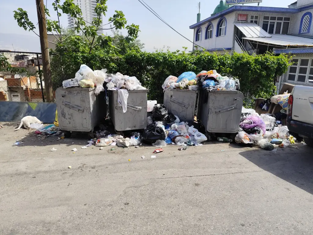 AK Partili Başdaş: 