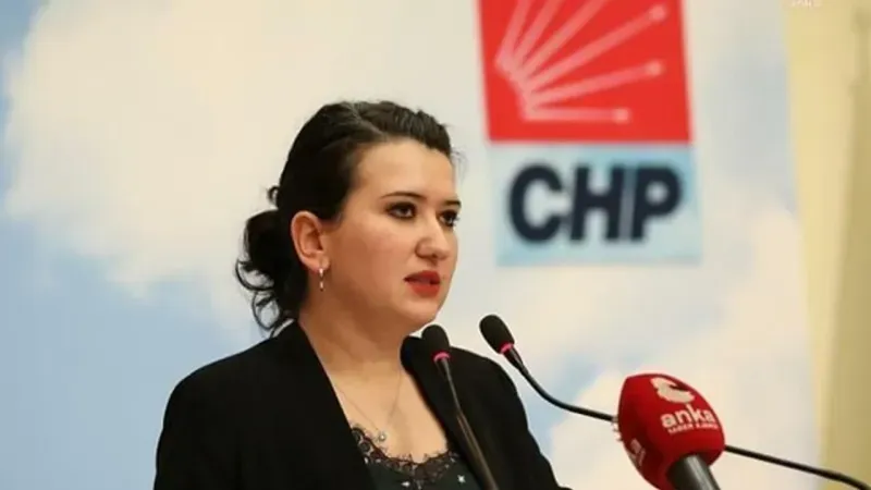 CHP İzmir Milletvekili Gökçen ateş püskürdü