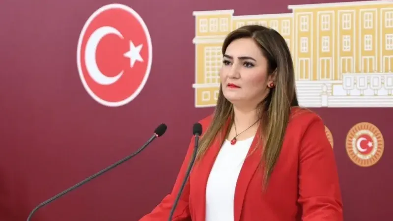 CHP İzmir Milletvekili Av. Sevda Erdan Kılıç'tan işkence iddiası sorusu