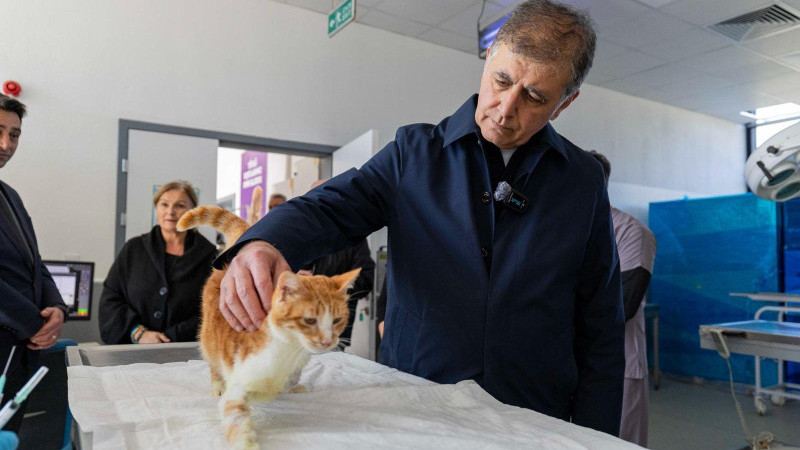 Tugay: “Pako Türkiye’nin En Güzel Barınaklarından Biri”