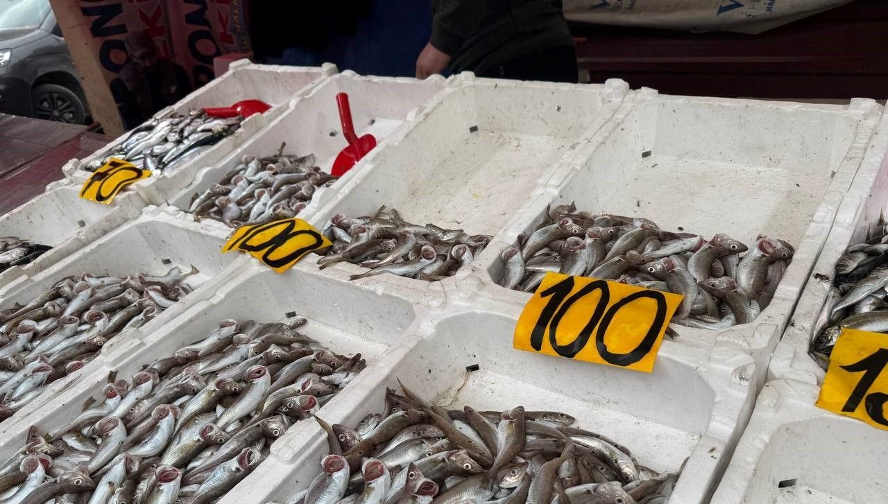 Balık fiyatlarında düşüş: ''Halka bedava balık yedirdik''