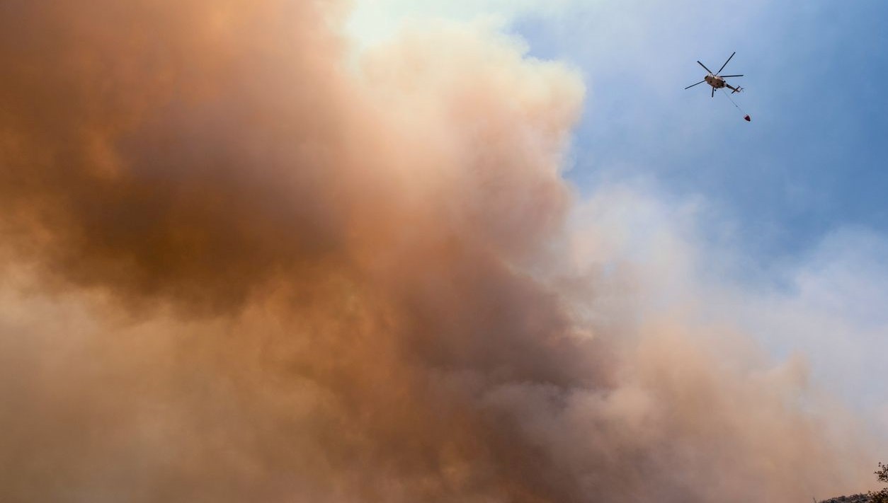 Meksika'da trafik faciası: 12 kişi öldü, alev alan araç orman yangını çıkardı