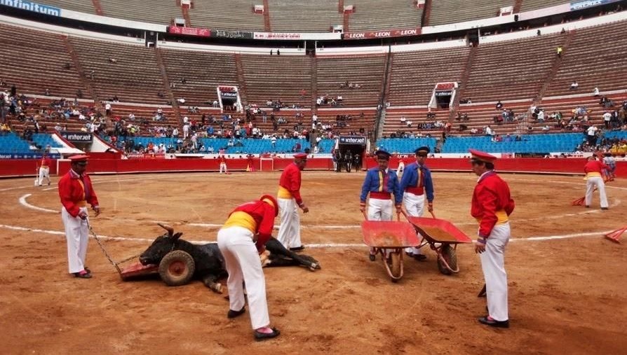 Meksika’nın başkentinde boğa güreşleri yasaklandı