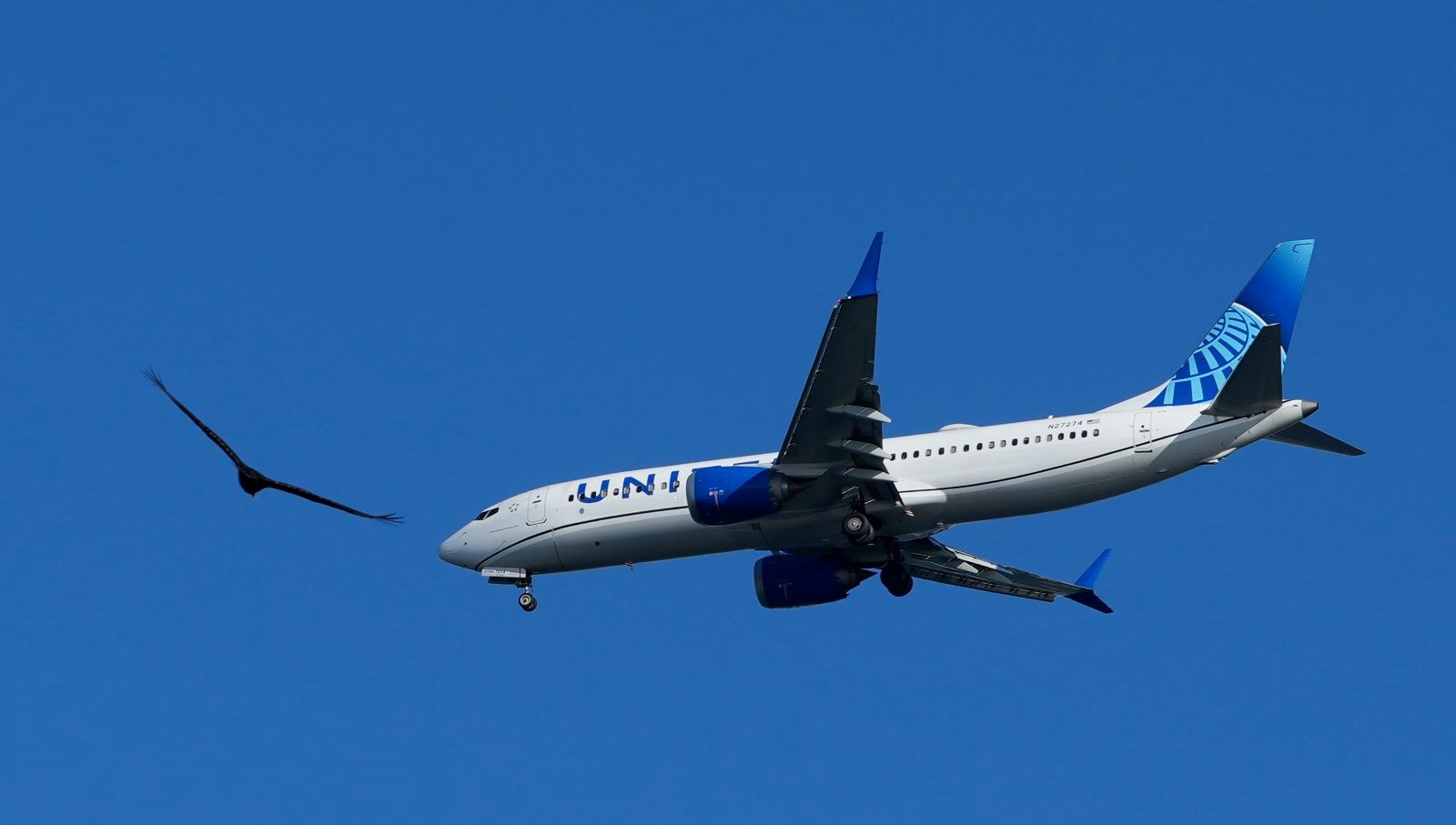 Pilot pasaportunu unuttu, uçak geri döndü